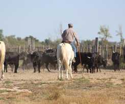 Hotel Fasthotel Nimes Ouest Lunel
