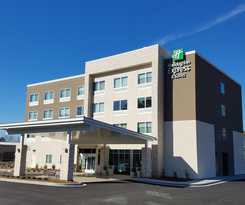 Hotel Holiday Inn Express and Suites Carrollton West, An Ihg