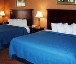 Quality Inn and Suites