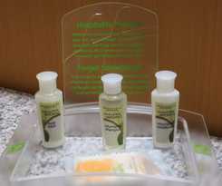 Hotel Holiday Inn & Suites Chicago Northwest - Elg