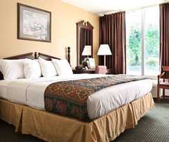 Hotel Carmel Inn and Suites