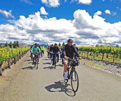 Holiday Inn Windsor - Wine Country