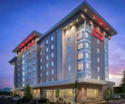 Hotel Hampton Inn & Suites Asheville Biltmore Area