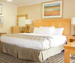 Hotel Mount Royal Inn