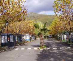 Cabañas-bungalows-camping la Vera
