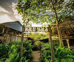 Hotel Selina Kalu Yala