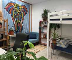 Tropical House