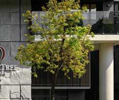 Hotel Doubletree By Hilton Taipei Zhongshan