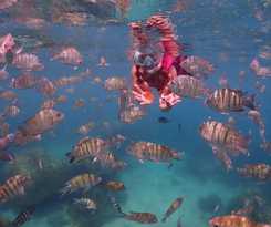 Hotel New Paradise Home Resort