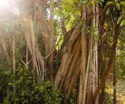 Hotel One and Only Desaru Coast