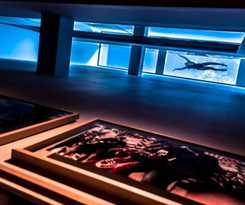 Welldone Quality - Crystal Pool