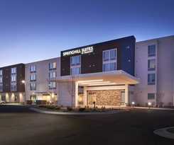 Hotel Springhill Suites By Marriott East Lansing University Area