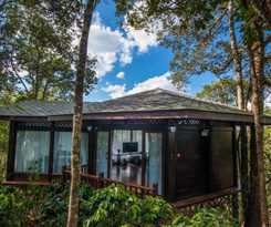 Hotel Puer Redpanda Manor