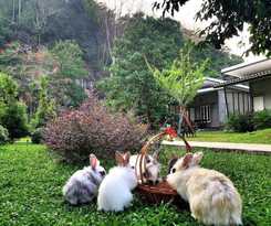 Hotel V Valley Resort