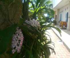 Chanthima Resort