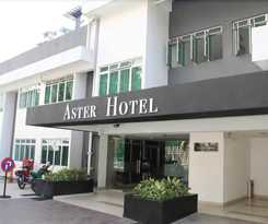 Aster Bukit Jalil