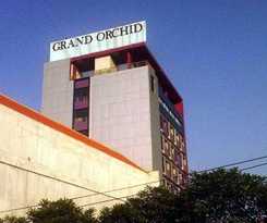 Grand Orchid Solo
