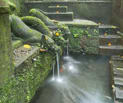 Bucu Beji Ubud