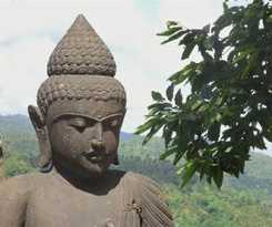 Hotel Villa Mayo Bali