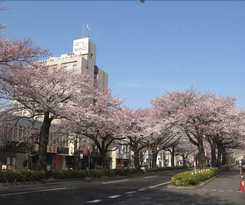 Hotel Wing International Hitachi