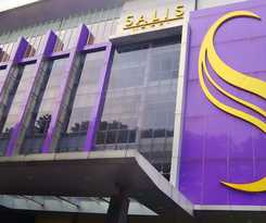 The Salis