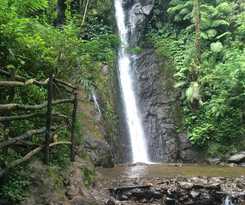 Hotel Taman Safari Lodge