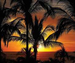 Hotel Four Seasons Resort Punta Mita