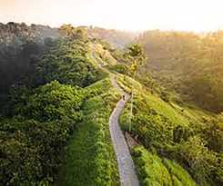 Hotel The Alus Cottages