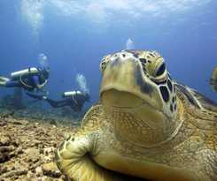 Hotel Manta Dive Resort Gili Air