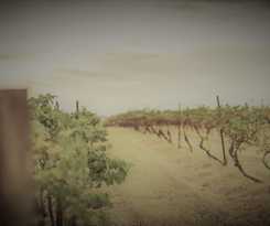 Unlax @ Hunter Valley