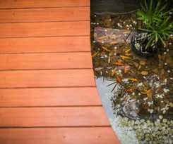 Hotel Le Terrarium Bed & Sleep Chiang Rai