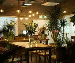 Hotel Hengdian Chayan Guest House