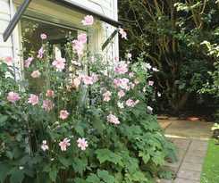 Hotel Clarendon Cottages