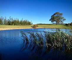 Grapevines Boutique Accommodation