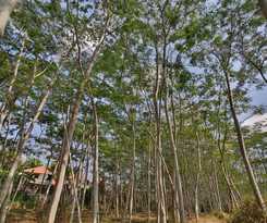 Hotel Taman Harum Cottages