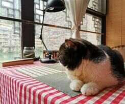 Hotel Zhenyuan Qiemanman Kezhan