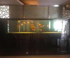 Hotel 7 DAYS PREMIUMA BAODING ZHUOZHOU DEVELOPMENT ZONE
