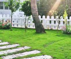 Hotel Summer X Genial