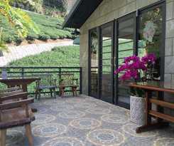 Applause In The Mountain