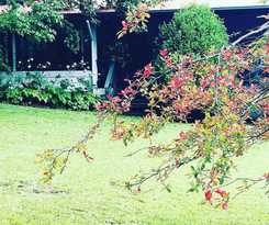 The Rustic Spirit