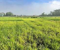 Hotel May Homestay Ninh Binh