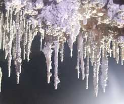 Hotel Phong Nha Garden House