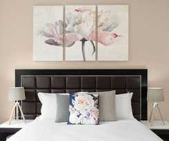 The Banq Apartments By Urban Rest