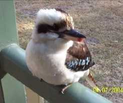 Hotel Goomburra Forest Retreat