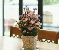 Hotel Lime Villa Hoi An