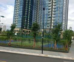 Oasis Vinhome Golden River Apt