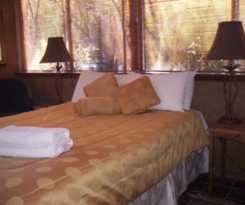 Forest Retreat Bed and Breakfast