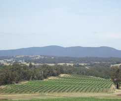 Hotel Summerfield Winery and Accommodation