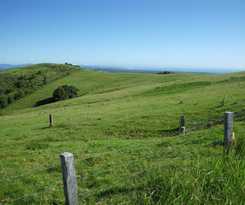 Byron Bay Farm Cottages