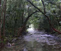 Hotel Heritage Lodge In the Daintree